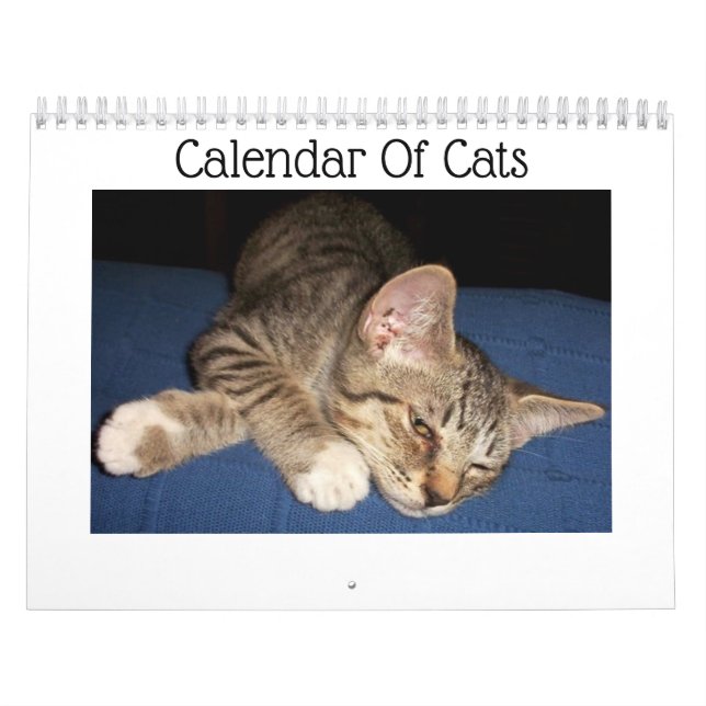 Calendrier des chats Tabby (Protection)