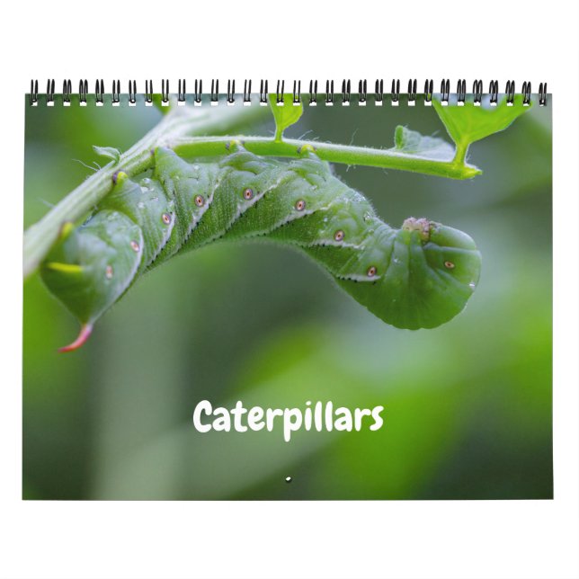 Calendrier des chenilles (Protection)