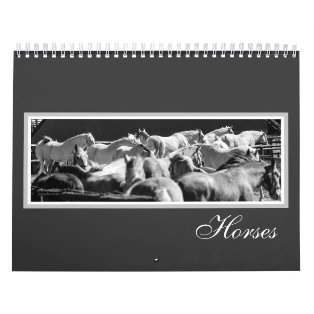 Calendrier des chevaux (Protection)