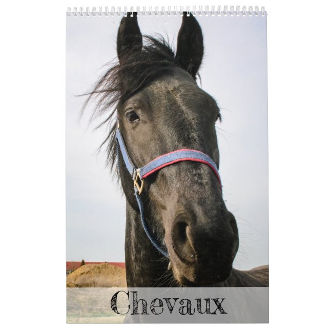 Calendrier des chevaux... (Protection)