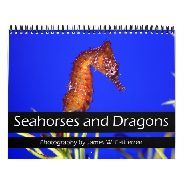 Calendrier des chevaux de mer et des dragons (Protection)