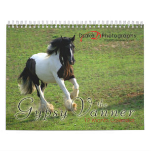 Calendrier des Chevaux de Vanner tziganes