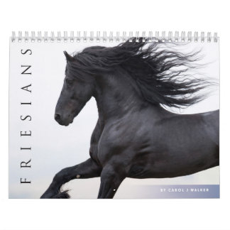 Calendrier des chevaux friésiens
