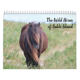 Calendrier des chevaux sauvages de l'île de Sable