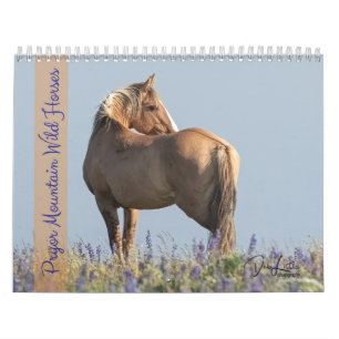Calendrier des Chevaux sauvages de Pryor Mountain