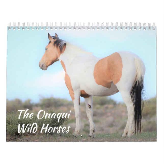 Calendrier des Chevaux sauvages d'Onaqui (Protection)