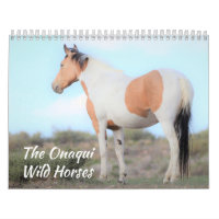 Calendrier des Chevaux sauvages d'Onaqui