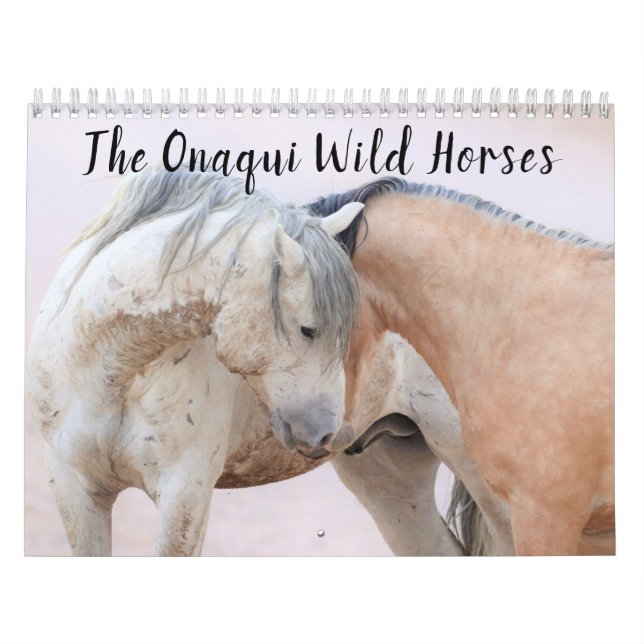 Calendrier des Chevaux sauvages d'Onaqui (Protection)