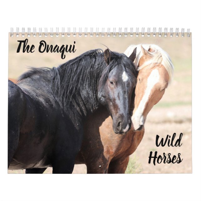 Calendrier des Chevaux sauvages d'Onaqui (Protection)