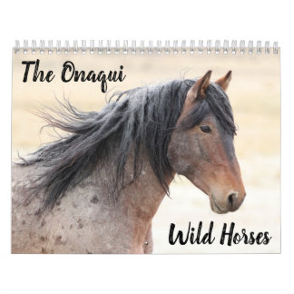 Calendrier des Chevaux sauvages d'Onaqui