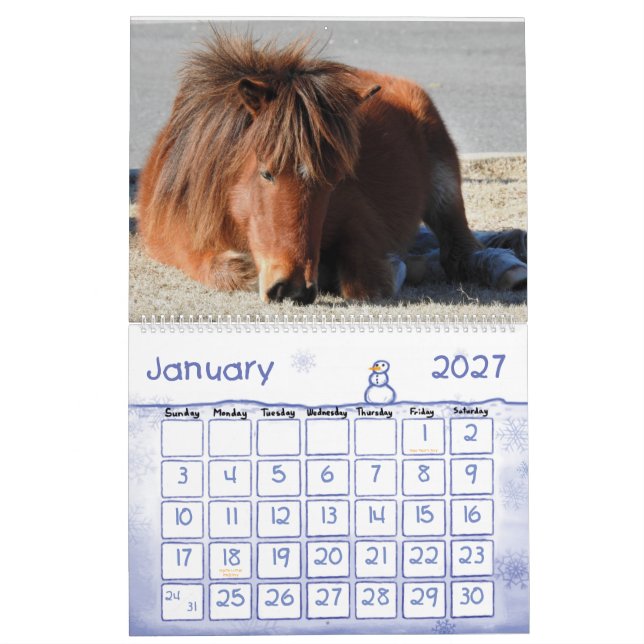Calendrier des Chevaux sauvages, île Assateague (Jan 2027)