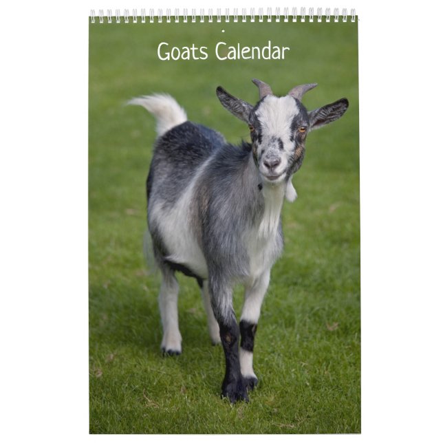 Calendrier des chèvres (Protection)