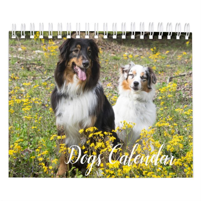 Calendrier des chiens (Protection)