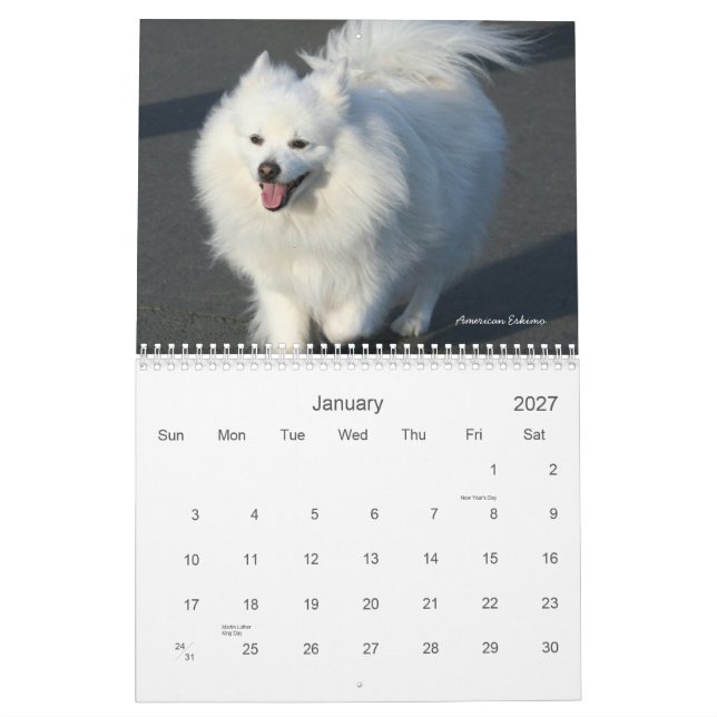 Calendrier des chiens 2011 (Jan 2027)