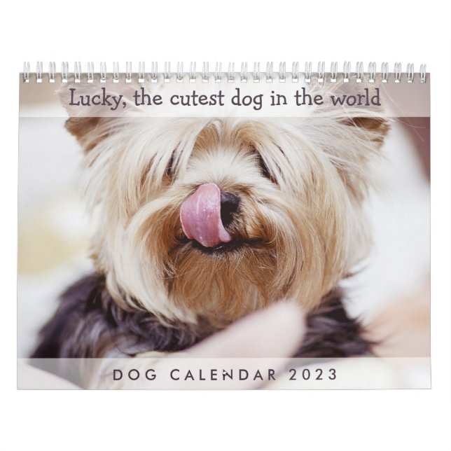 Calendrier des chiens 2023 Ajouter vos photos mign (Protection)