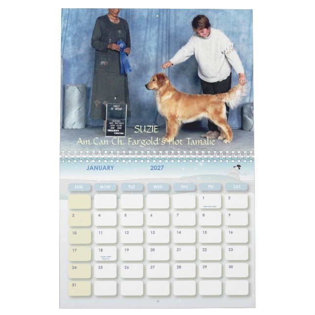 Calendrier des chiens d'arrêt d'or 2007 de JBG (Jan 2027)