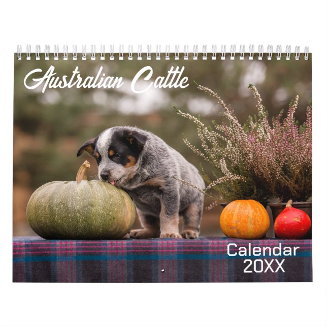 Calendrier des chiens de bétail australiens 2026 (Protection)