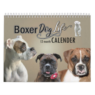 Calendrier des chiens de boxe, 12 mois de la vie d