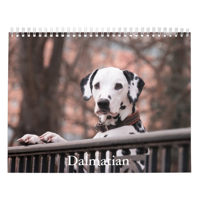 Calendrier des Chiens de Dalmatie (Protection)