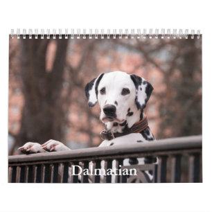 Calendrier des Chiens de Dalmatie