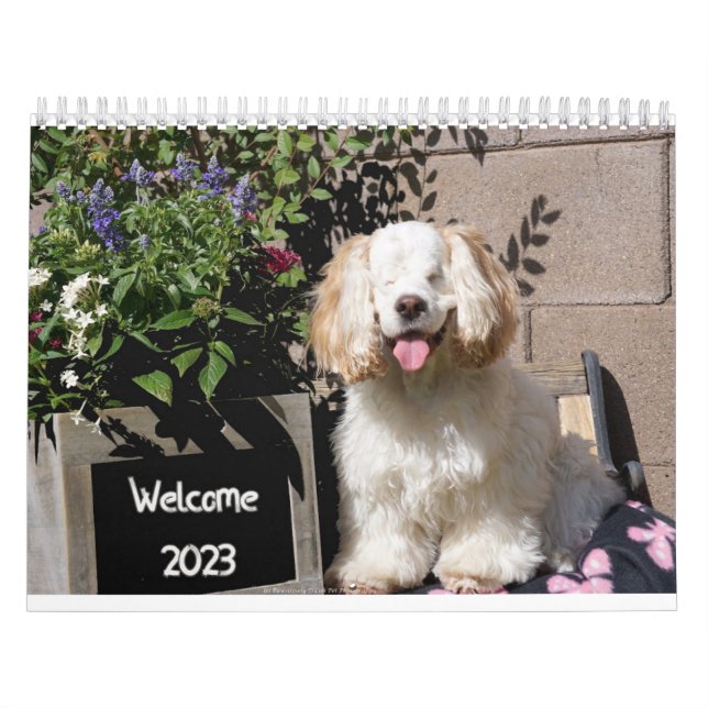 Calendrier des chiens mignons et adorables 2023 (Protection)