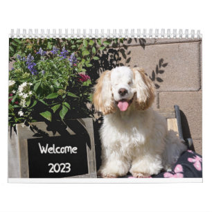 Calendrier des chiens mignons et adorables 2023