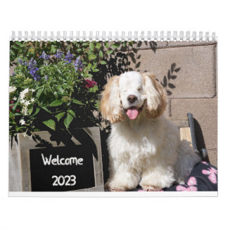 Calendrier des chiens mignons et adorables 2023