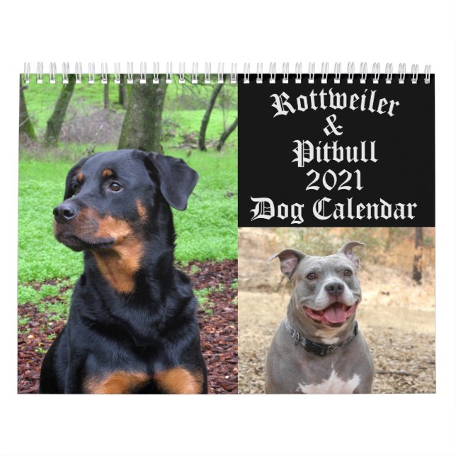 Calendrier des chiens Rottweiler et Pitbull Dog (Protection)