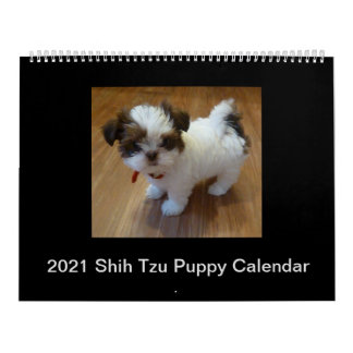 Calendrier des chiots