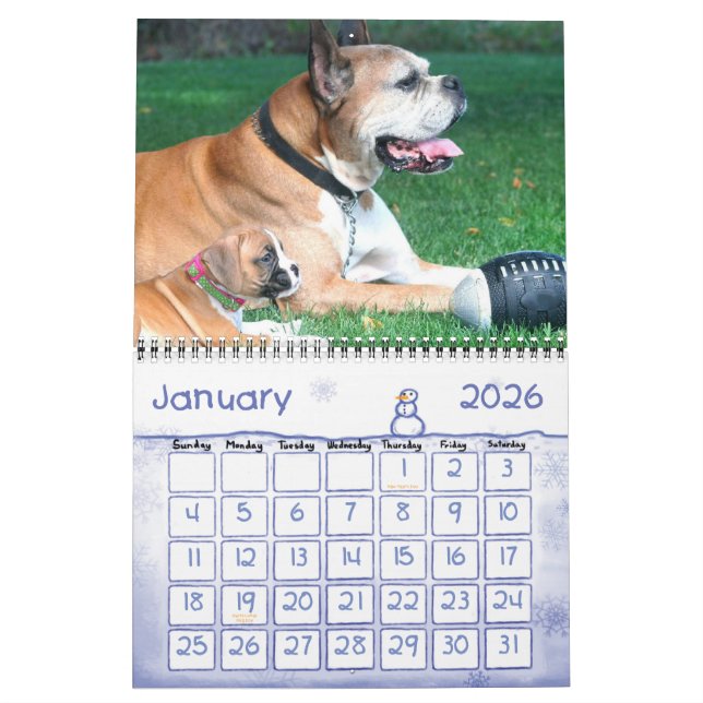 Calendrier des chiots 2010 de boxeur (Jan 2026)