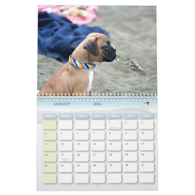 Calendrier des chiots 2011 de boxeur (Jan 2026)