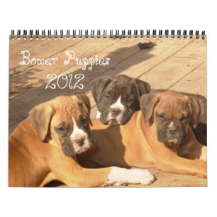 Calendrier des chiots 2012 de boxeur