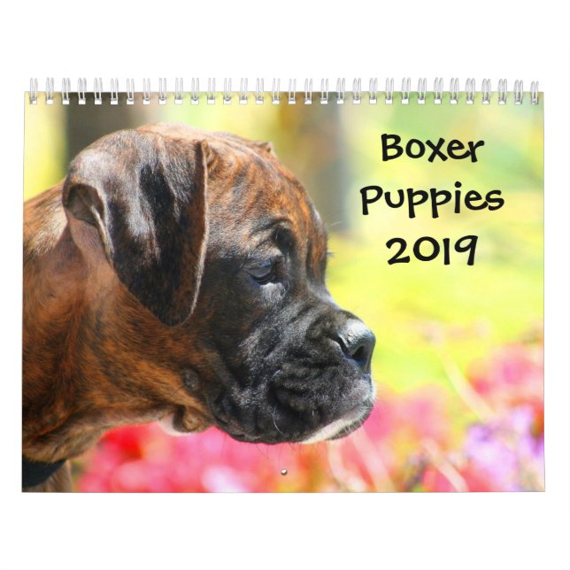 Calendrier des chiots 2019 de boxeur (Protection)