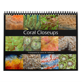 Calendrier des cloquets de corail par J.W. Patrie.