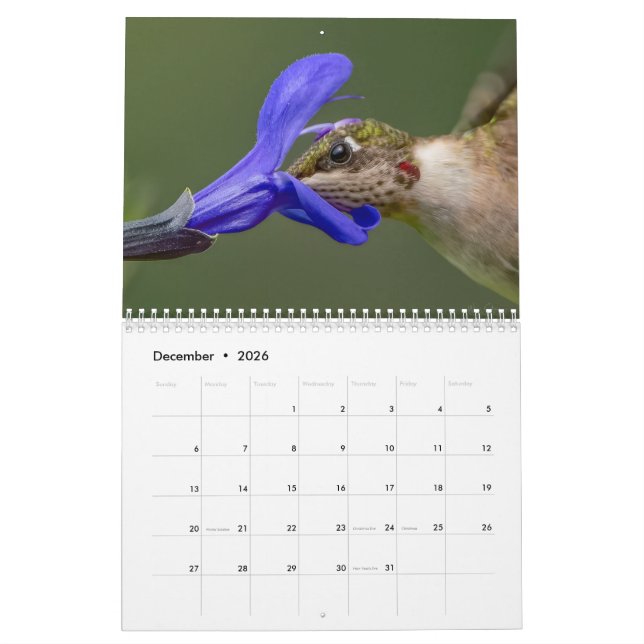 Calendrier des colibris avec des images uniques (Dec 2026)