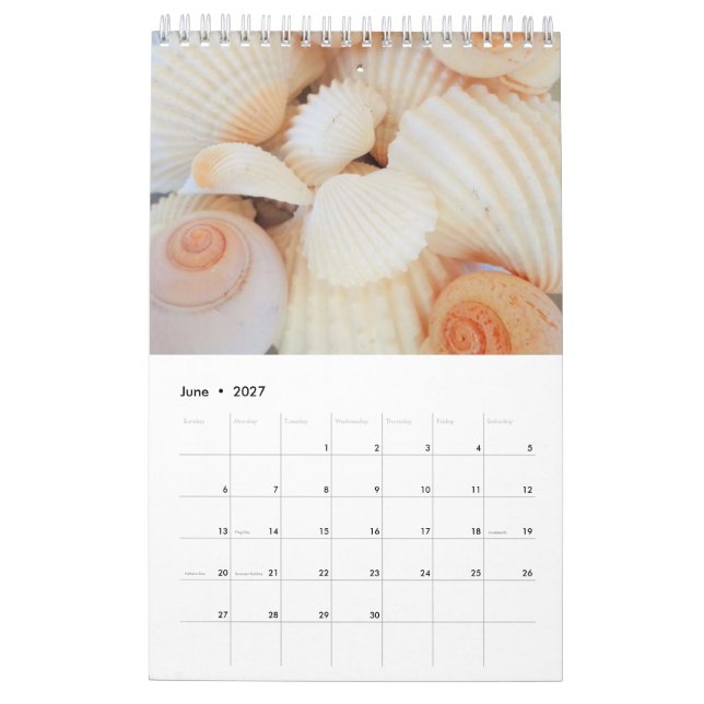 Calendrier des coquilles de mer 2024 Romantique tr (Jun 2027)