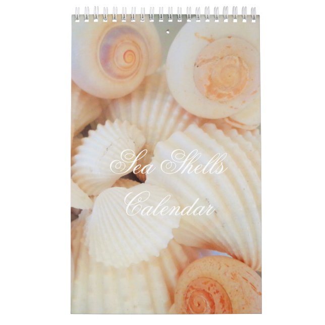 Calendrier des coquilles marines Tropique exotique (Protection)