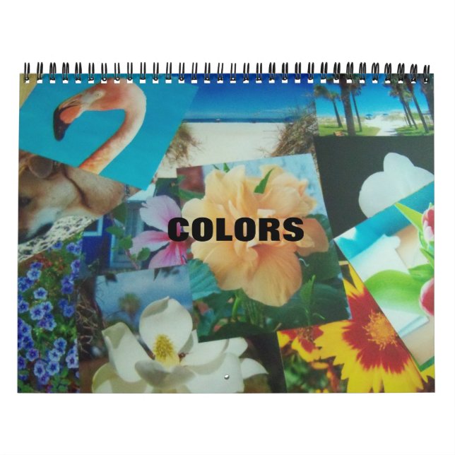 Calendrier des couleurs (Protection)