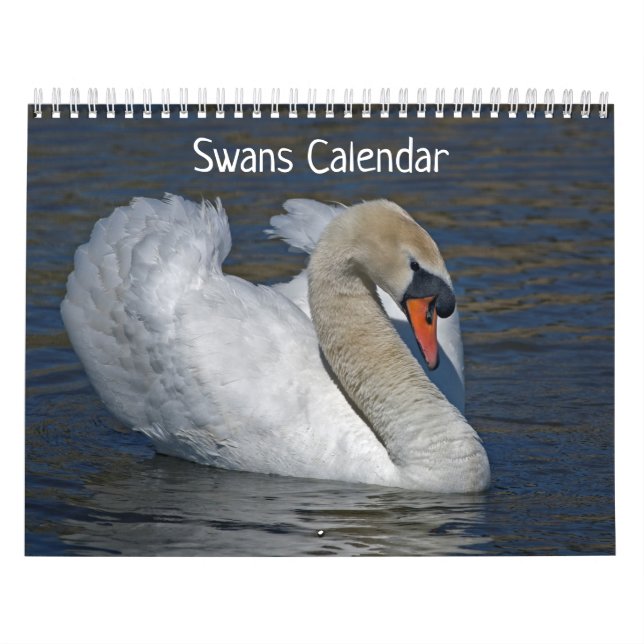 Calendrier des cygnes (Protection)