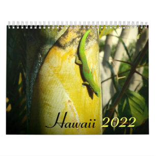 Calendrier des destinations pittoresques Hawaii 20