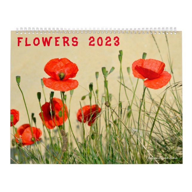 Calendrier des différentes fleurs 2023 (Protection)