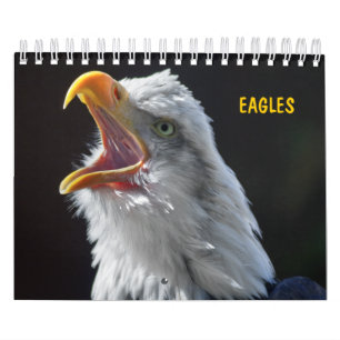 Calendrier des Eagles