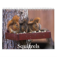 Calendrier des écureuils