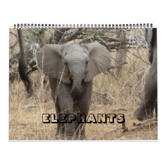 Calendrier des éléphants