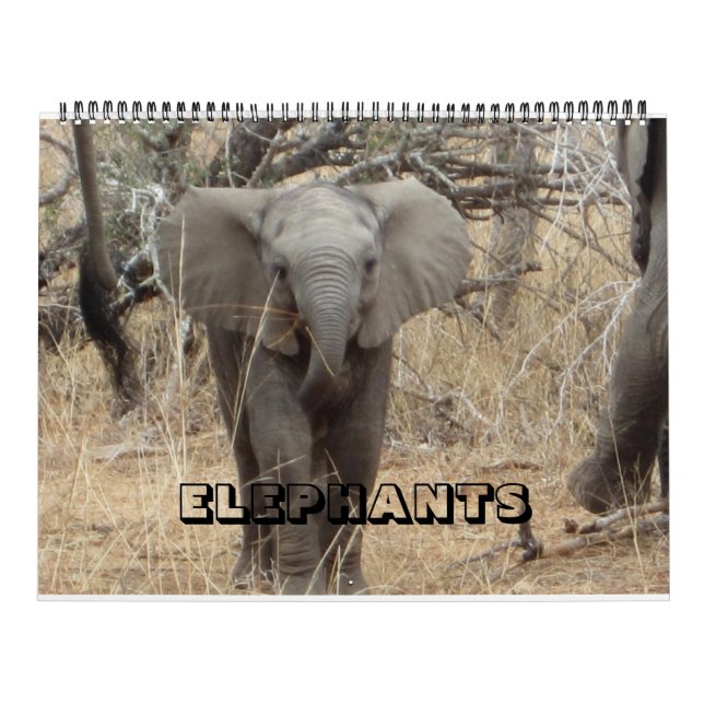 Calendrier des éléphants (Protection)