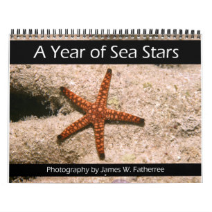 Calendrier des Etoiles de la mer