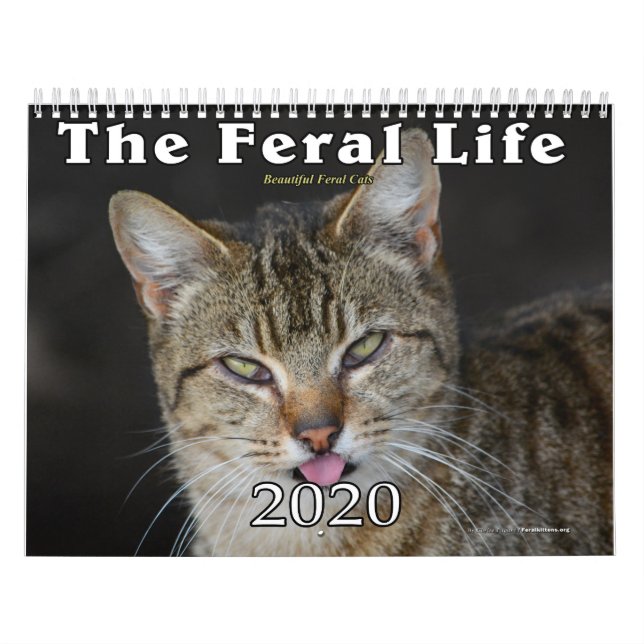 Calendrier des félins de 2020 (Protection)