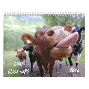 Calendrier des fermetures de vache 2026