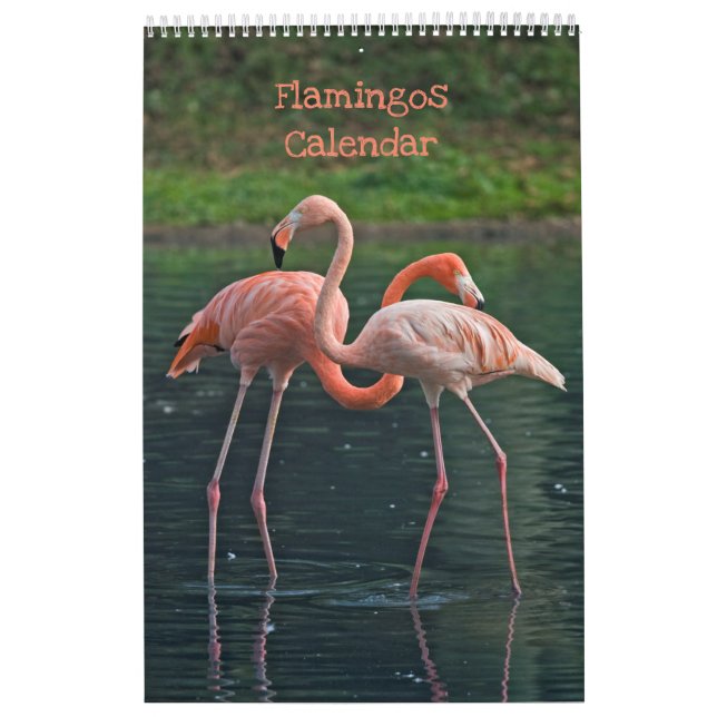 Calendrier des Flamants (Protection)