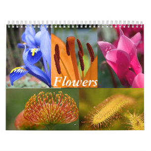 Calendrier des fleurs